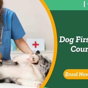 Dog First Aid Course