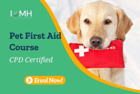 Pet First Aid Course