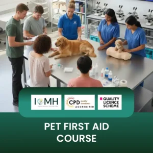 Pet First Aid Course with participants in scrubs practicing emergency care on live dog and training mannequin.
