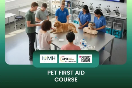 Pet First Aid Course with participants in scrubs practicing emergency care on live dog and training mannequin.