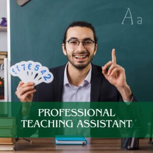 Professional Teaching Assistant