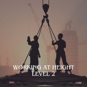 Working at Height Level 2