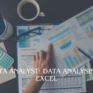 Data Analyst: Data Analysis in Excel