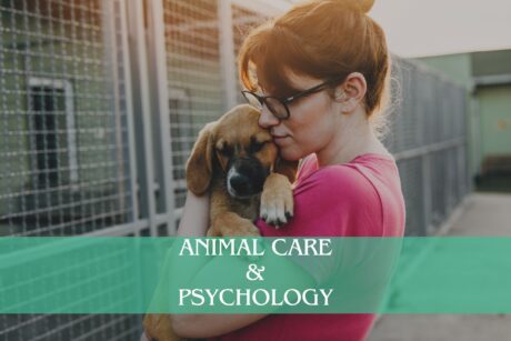 Animal Care and Psychology