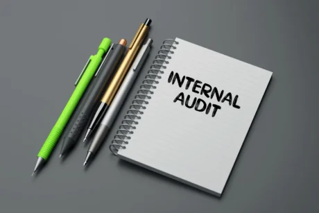 Internal Audit Skills