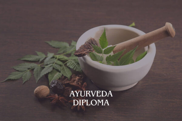 Ayurveda Diploma