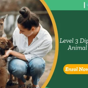 Individual engages with kangaroos in outdoor setting; promotional banner highlights UK-based Level 3 Diploma in Animal Care.