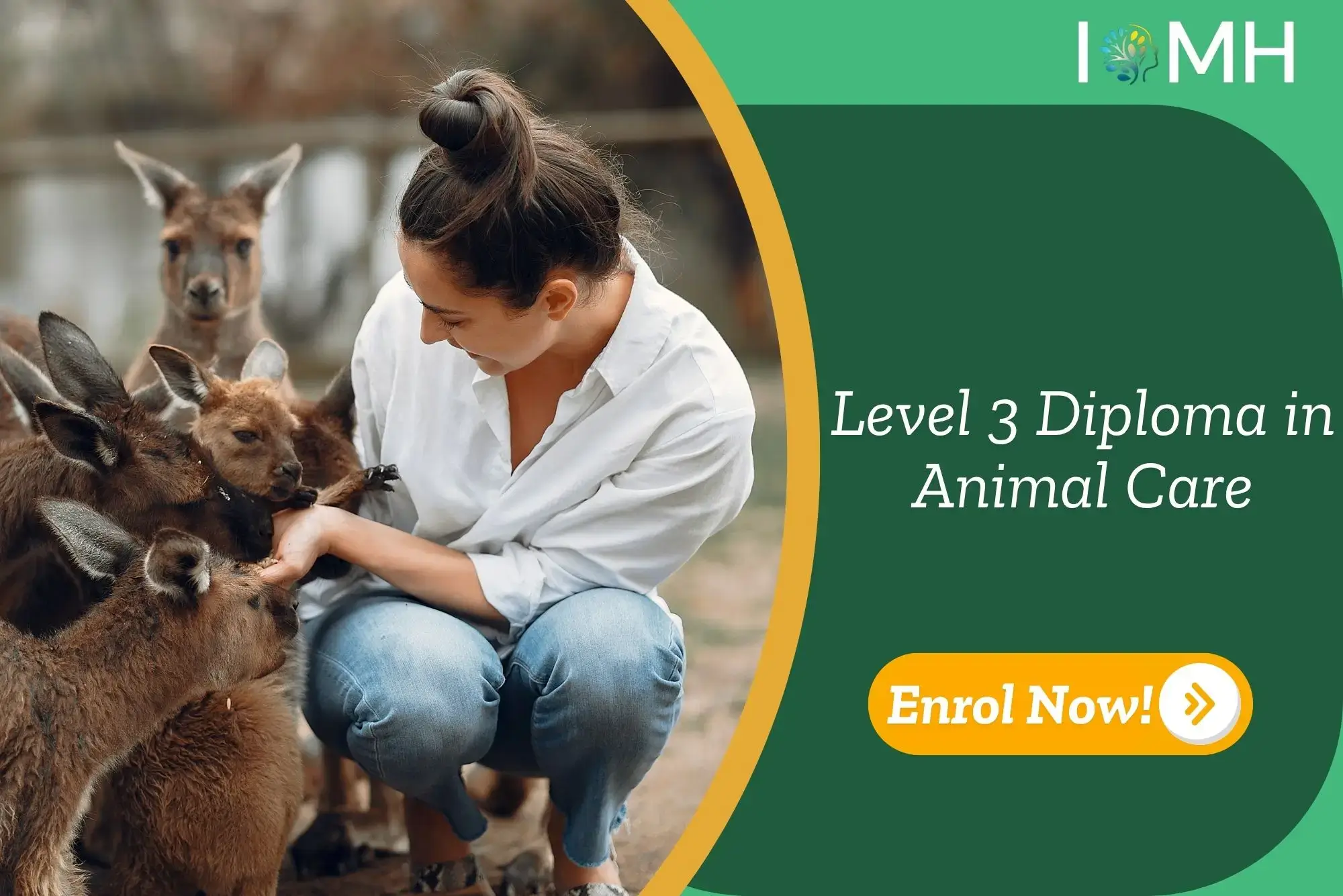 Individual engages with kangaroos in outdoor setting; promotional banner highlights UK-based Level 3 Diploma in Animal Care.