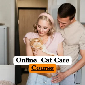 Online Cat Care Course banner with two people holding orange and white cat in home kitchen setting.