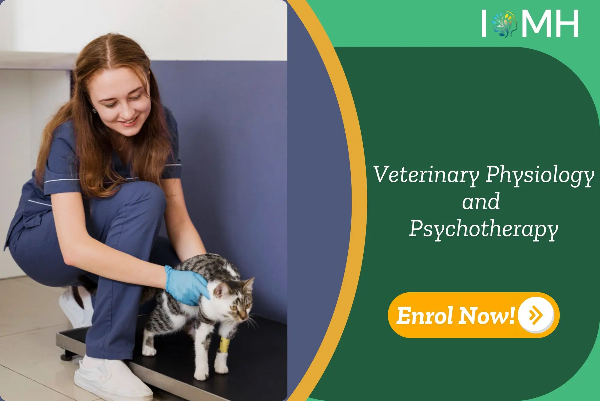 Veterinary student supports injured cat in clinical setting; promotional banner highlights UK-based Veterinary Physiology and Psychotherapy training.
