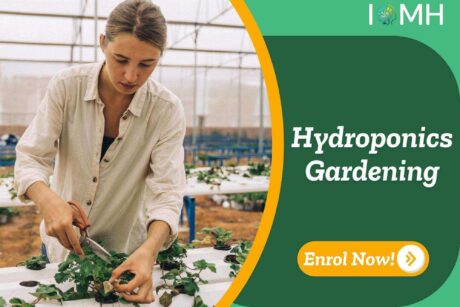 Hydroponics Gardening training banner with person inspecting leafy plants in indoor trays under controlled environment and enrol now.