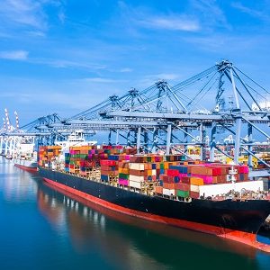 Import/Export - Inward Processing Suspension