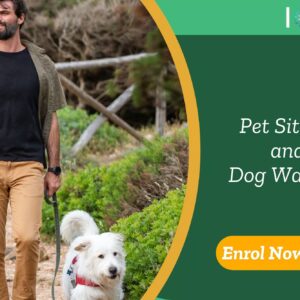 Pet sitter walks white dog through natural trail; enrolment banner promotes UK-based Dog Walking and Pet Sitting service by IOMH.