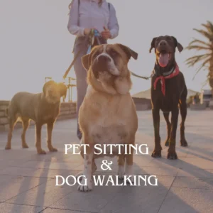 Pet Sitting and Dog Walking