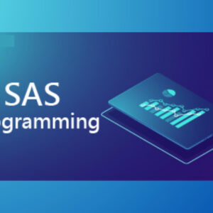 SAS Programming Basic to Advanced