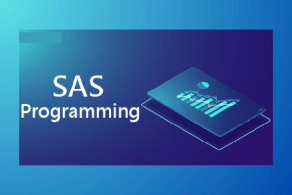 SAS Programming Basic to Advanced