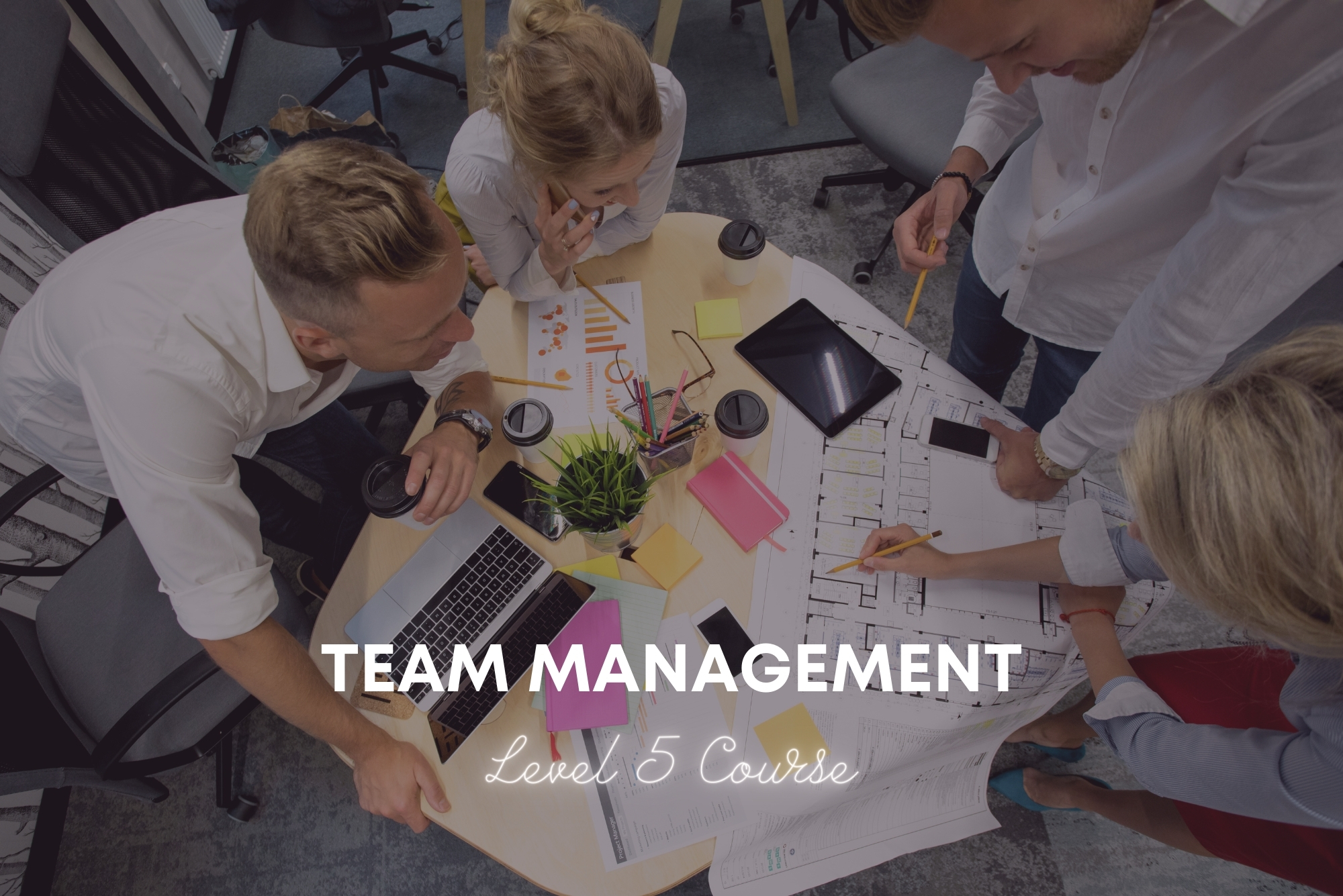 Team Management Level 3