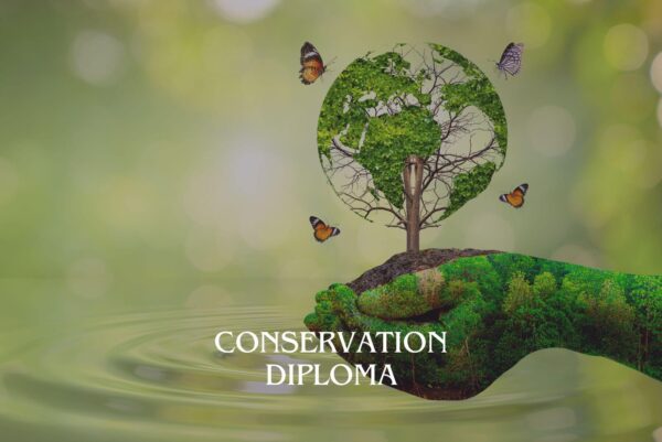 Conservation Diploma