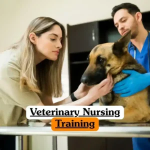 Veterinary Nursing Training course banner with person in light shirt holding German Shepherd dog on metal examination table assisted by professional in blue scrubs and gloves in veterinary clinic with cabinets and medical equipment.