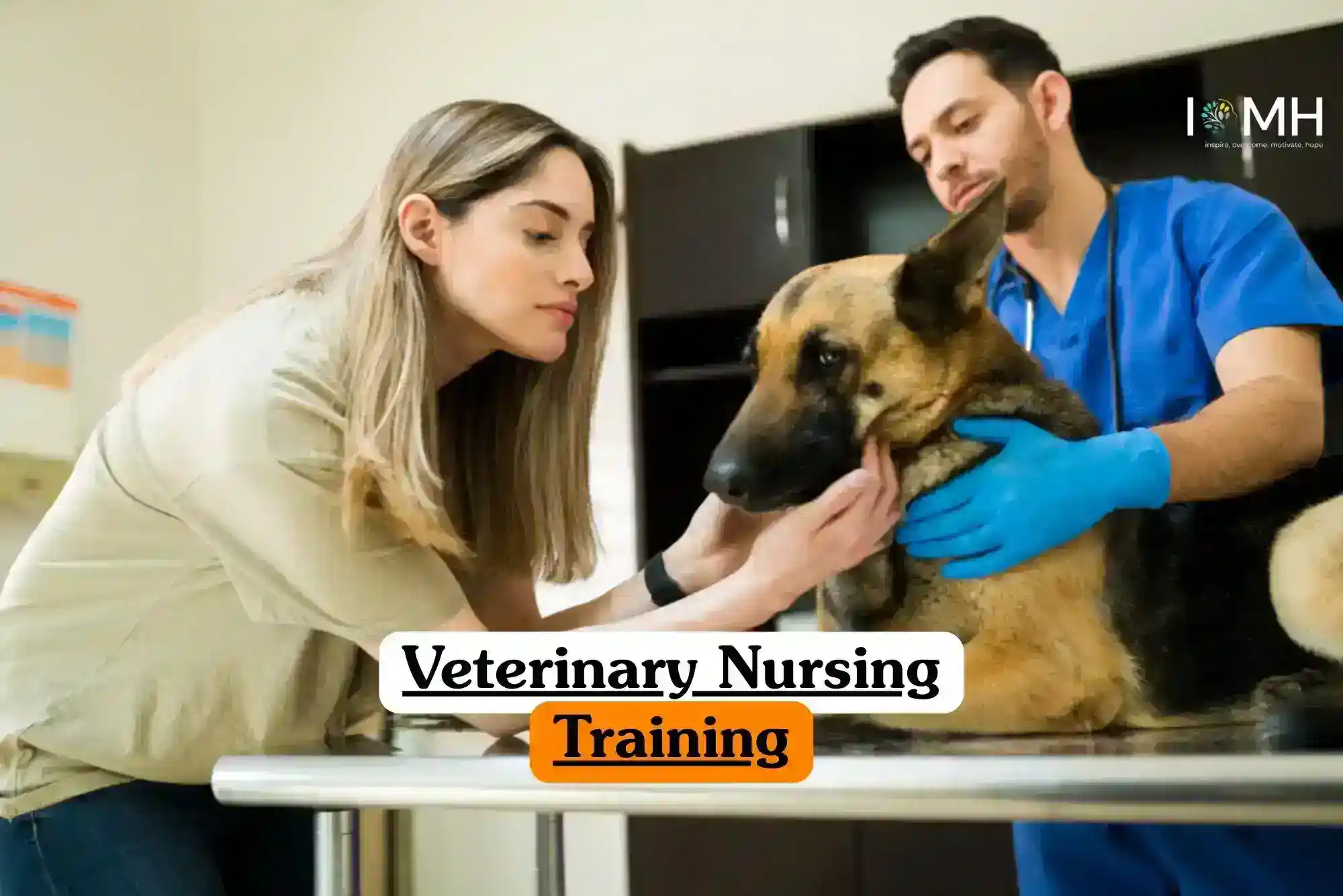 Veterinary Nursing Training course banner with person in light shirt holding German Shepherd dog on metal examination table assisted by professional in blue scrubs and gloves in veterinary clinic with cabinets and medical equipment.