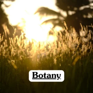 Theoretical biological science and plant biology training banner featuring a female scientist or botanist in a white lab coat working in a sunlit greenhouse.