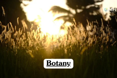 Theoretical biological science and plant biology training banner featuring a female scientist or botanist in a white lab coat working in a sunlit greenhouse.