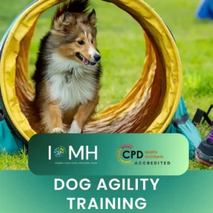 Dog exiting agility tunnel on grass; banner promotes CPD-accredited Dog Agility Training course.