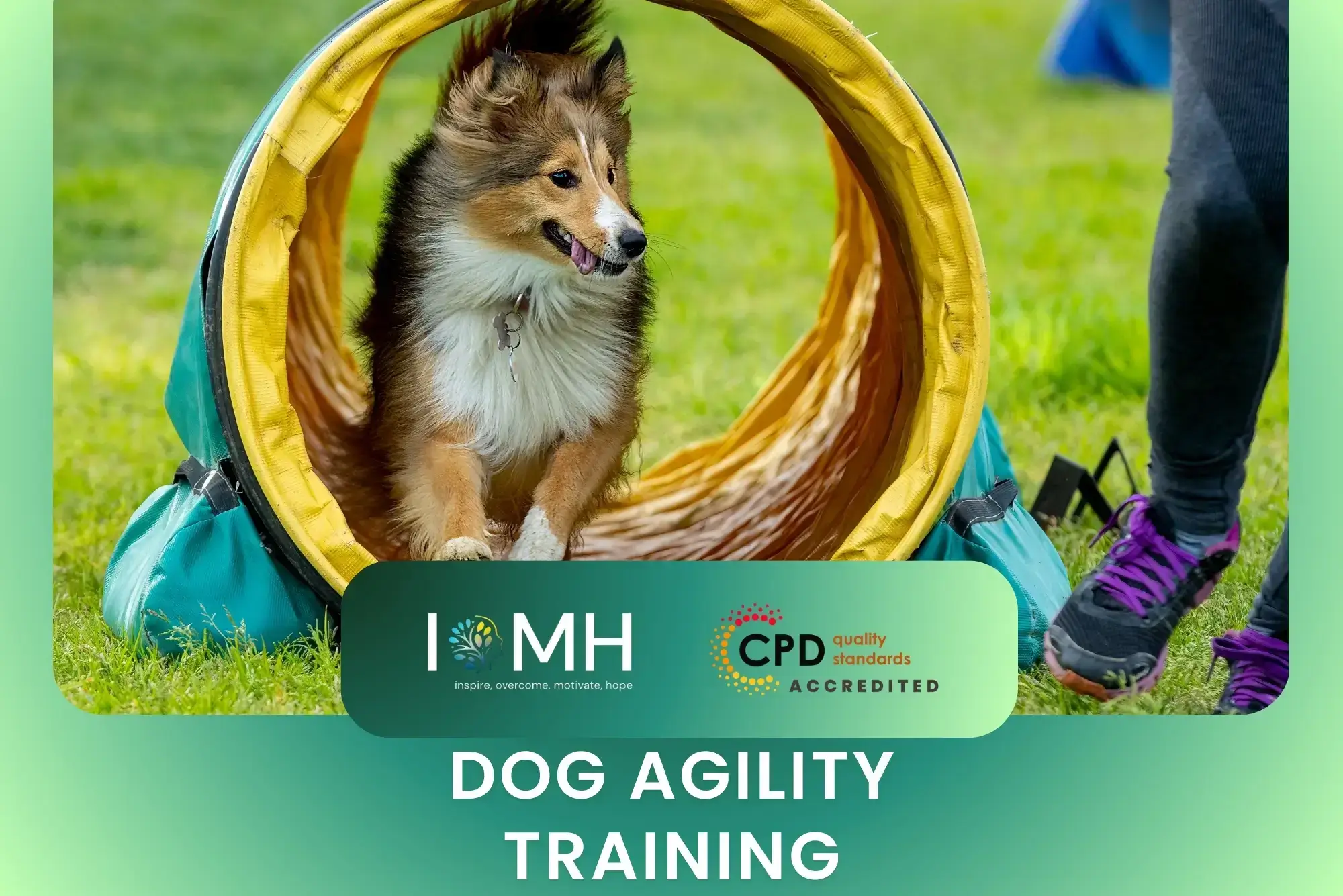 Dog exiting agility tunnel on grass; banner promotes CPD-accredited Dog Agility Training course.