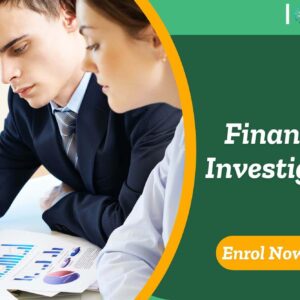 Financial Investigator