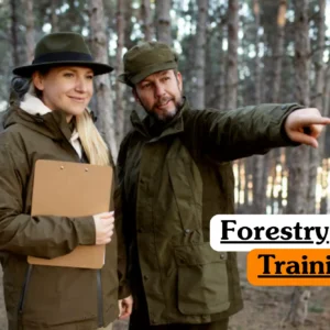 Theoretical environmental science and arboriculture training banner featuring a professional forester in a high-visibility orange safety vest and protective hard hat.