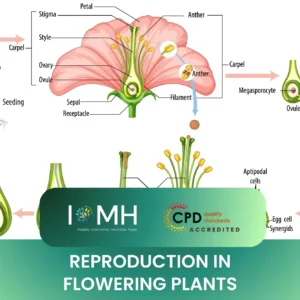 Reproduction in Flowering Plants course diagram showing reproduction process in flowering plants with labelled anatomy.