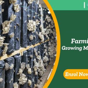 Oyster mushrooms growing in vertical farm bags; banner promotes Farming - Growing Mushroom course.