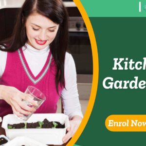 Kitchen Gardening