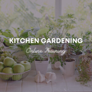 Kitchen Gardening