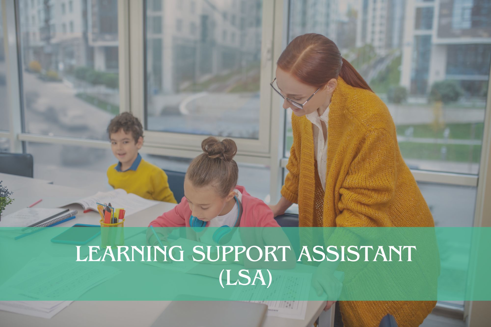 Learning Support Assistant (LSA)