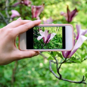 Smartphone Photography