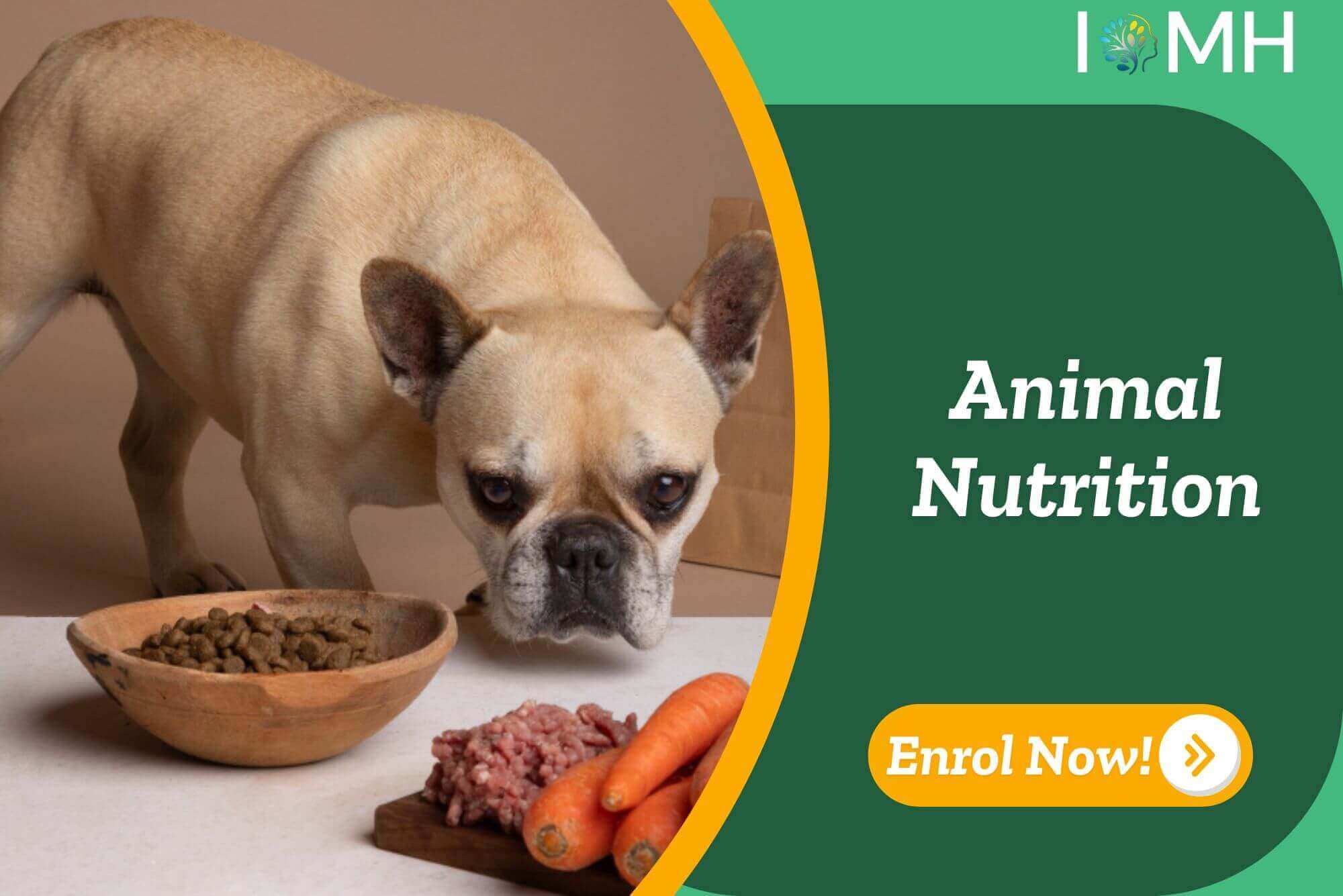 Animal Nutrition