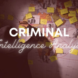 Criminal Intelligence Analyst