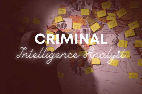 Criminal Intelligence Analyst