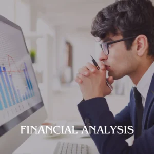 Financial Analysis