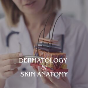 Dermatology & Skin Anatomy