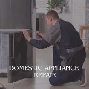 Domestic Appliance Repair