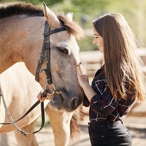 Horse Care - Equine Psychology