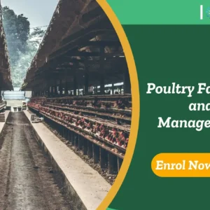 Large-scale poultry farming setup with caged chickens in structured rows; promotional banner highlights Poultry Farming and Management course.