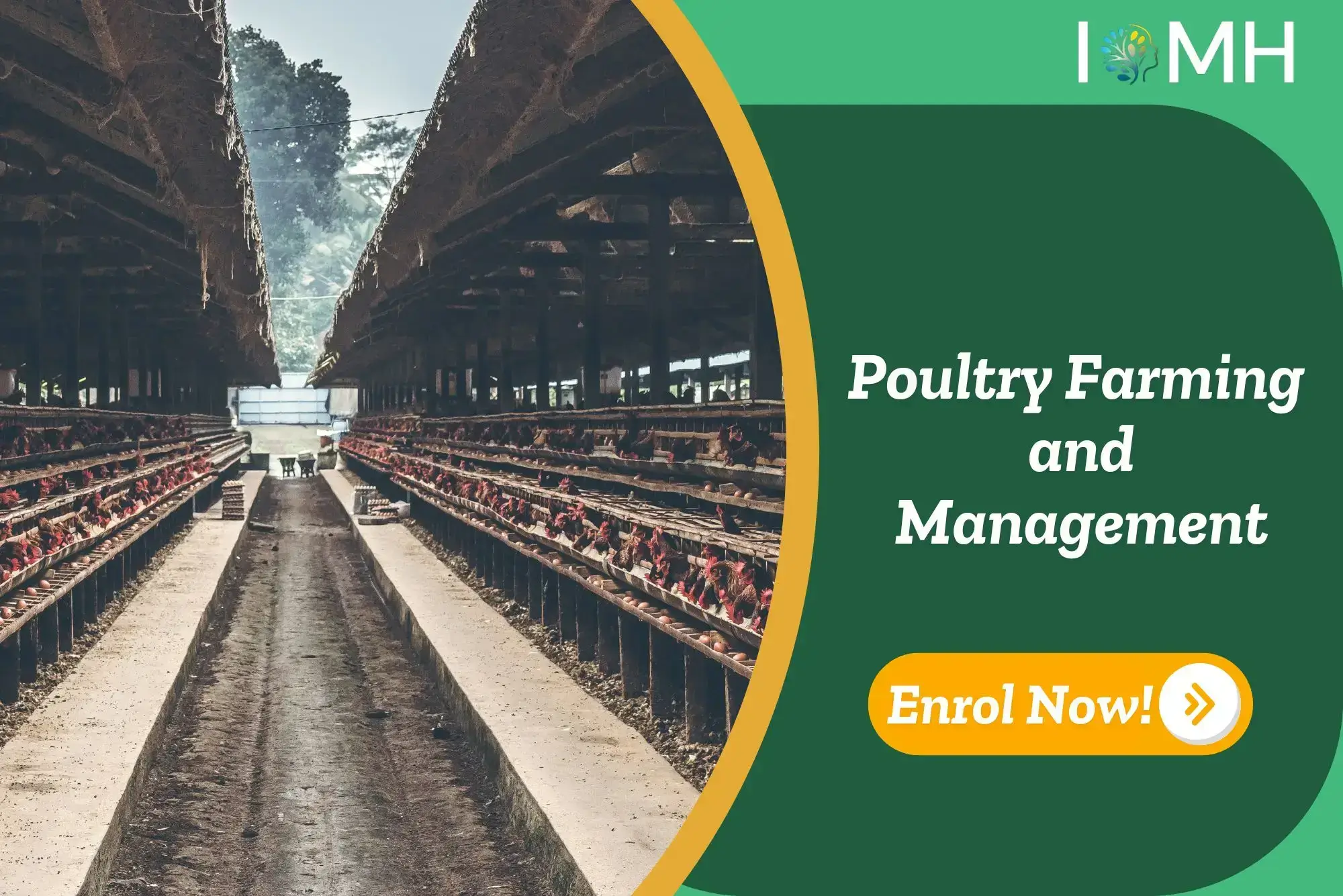 Large-scale poultry farming setup with caged chickens in structured rows; promotional banner highlights Poultry Farming and Management course.