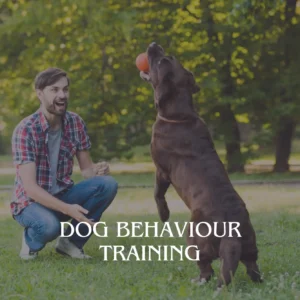 Dog Behaviour Training