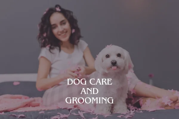 Dog Care and Grooming