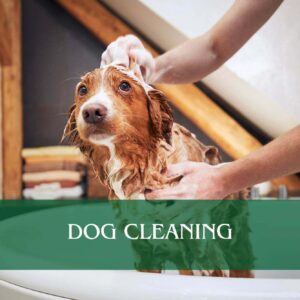 Dog Cleaning