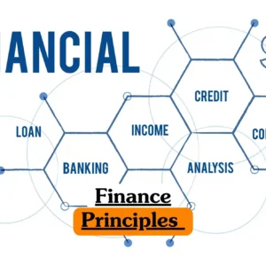 Finance Principles course banner with hexagonal diagram showing loan banking income credit company analysis and dollar sign symbol.