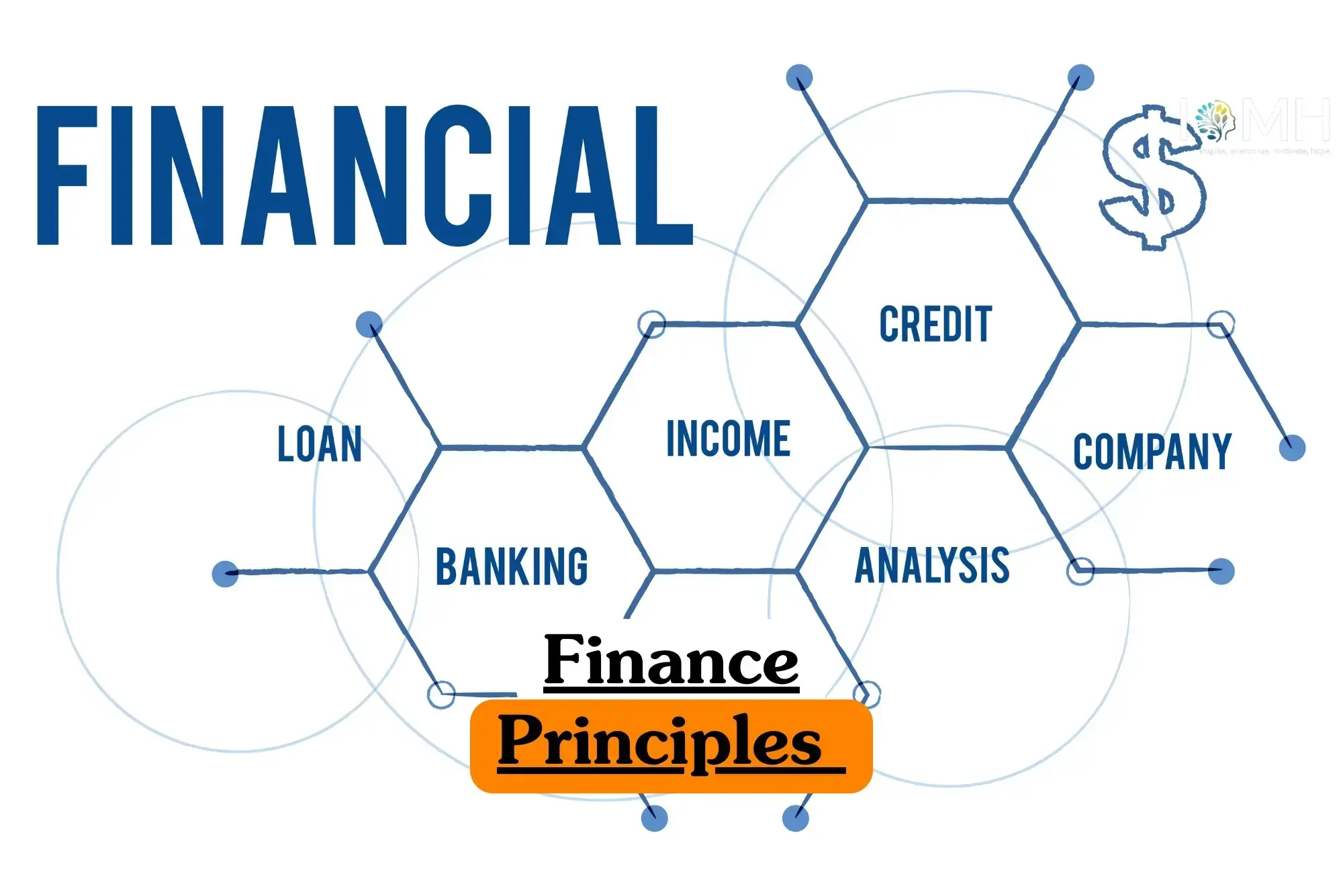 Finance Principles course banner with hexagonal diagram showing loan banking income credit company analysis and dollar sign symbol.